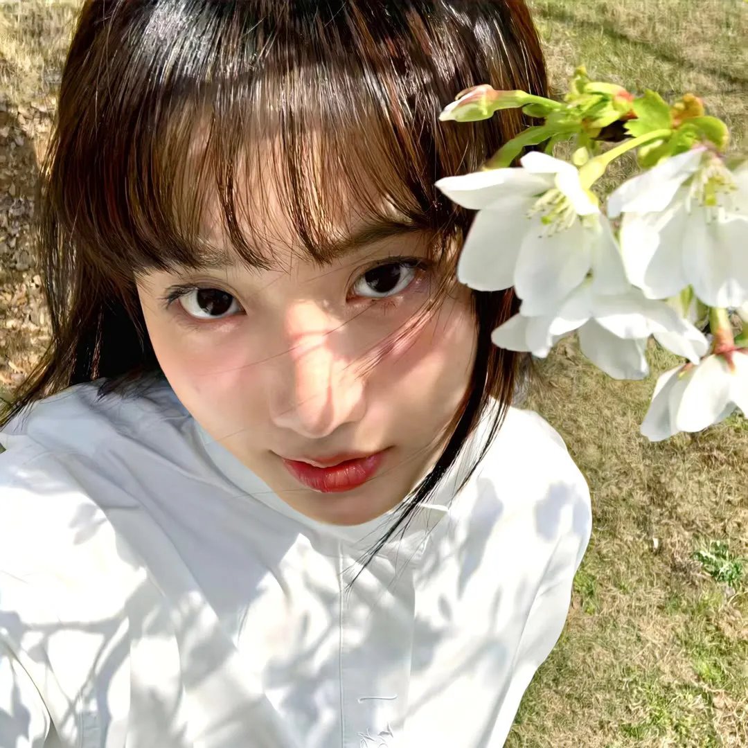 元首的面孔
